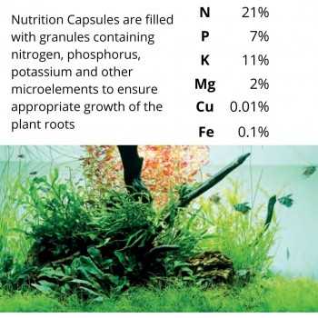 Nutrition Capsules 10 tab fetilizzanti per radici - Tropica 2