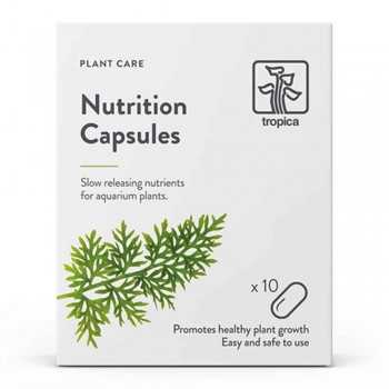 Capsules de nutrition 10 onglets fétitionnels pour...