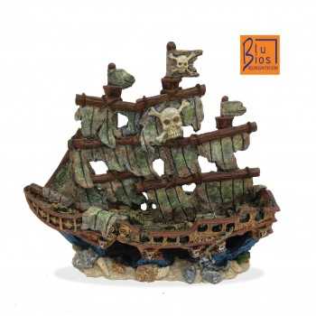 Pirate wreck decor