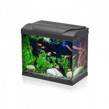 Il suffit de mener une aquarium 30 30L de 30 l complet avec des matériaux de lumière, de filtre et de filtre - AQPET