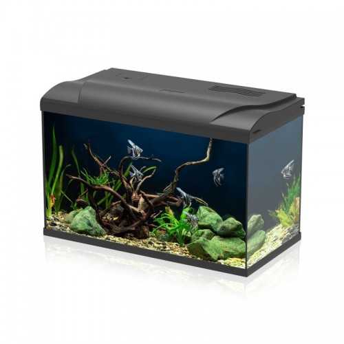 Il suffit de mené 60 Aquarium complet - AQPET