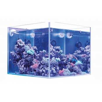 Acquario marino 80 cm 240 L Full Compact AGP Unica 2