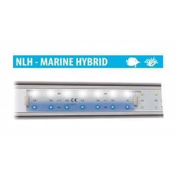 Newa LED marines hybrides, plage de LED haute efficacité... 2