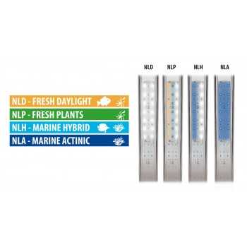 Alimentatore per Newa LED - Newa 2