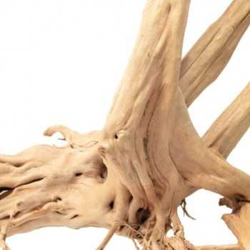 Natural wood root Zen Wood Stump AQPET 2