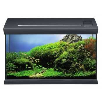 AquaClass 66 Aquarium Eheim