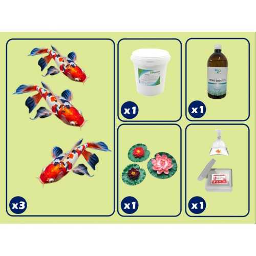 kit base per laghetto con Carpe Koi