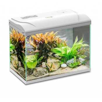 Aquarium Magis 50 liters 49x31x38h cm Blu Bios