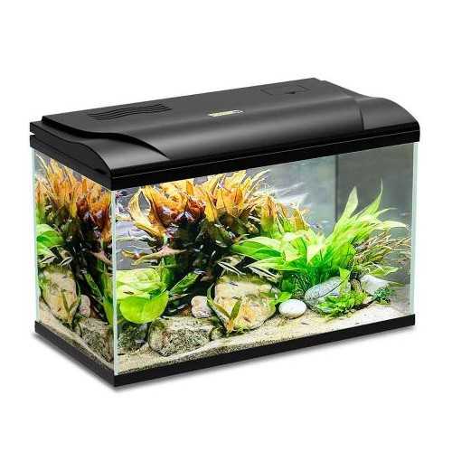Acquario Magis 50 Litri 49x31x38h cm Blu Bios
