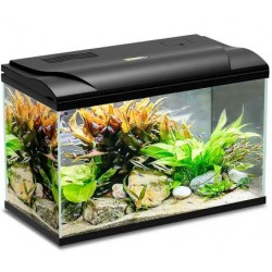 Aquarium Magis 50 litres 49x31x38H cm Blu Bios