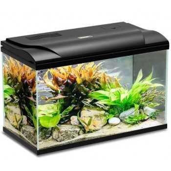 Magis Aquarium 30 2
