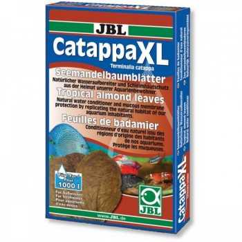 Catappa XL, foglie di catappa per acquari d'acqua dolce -...