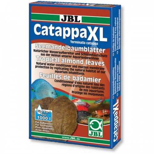 Catappa XL, foglie di catappa per acquari...