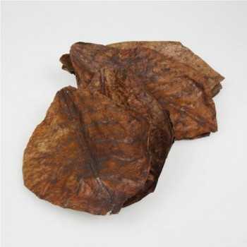 Catappa XL, catappa leaves for freshwater aquariums - JBL 2