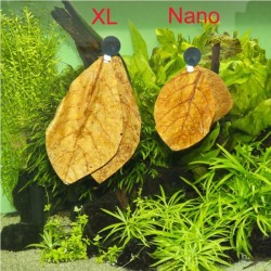 Catappa XL, foglie di catappa per acquari d'acqua dolce - JBL