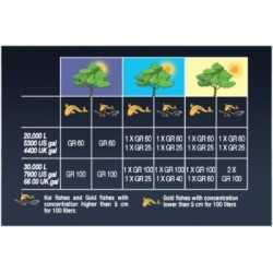 BIO filter 100L UV GREEN RESET 2