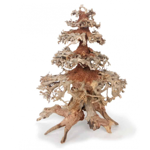 Bois oriental Wind Wood 8 md Amtra