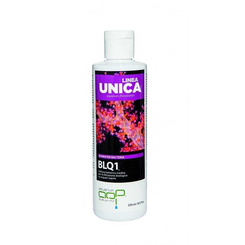 Blq1 Linea Unica