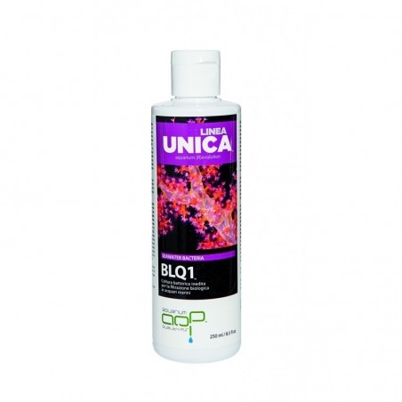 Blq1 Linea Unica