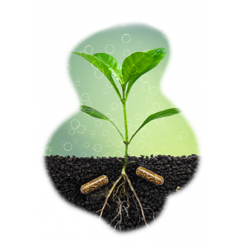 Plant life caps, nutrimento per piante d'acquario - Askoll 2
