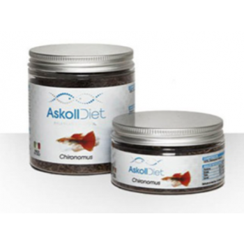 Chironomus, fish food - Askoll