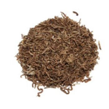 Chironomus, nourriture poisson - askoll 2