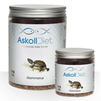 Gammarus, cibo per tartarughe acquatiche - Askoll