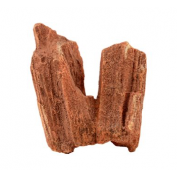Ornament Stone Comp - Askoll