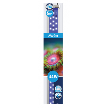 Proten LED bar marine - Askoll