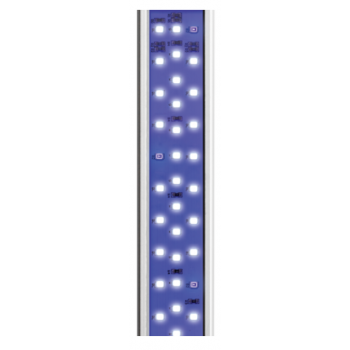 Proten LED bar marine - Askoll 2