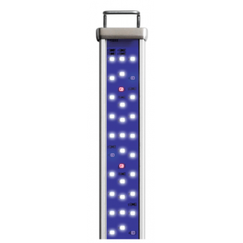Proten LED bar reef blue - Askoll 2