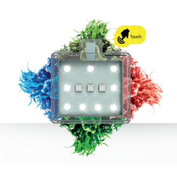 Led nexus 5C Betta Life, sistema di illuminazione a LED -... 2