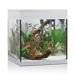 Pure Aquarium M, aquarium tub Pure - Askoll