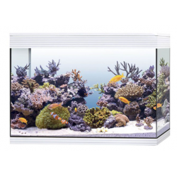 Pure Aquarium XL HC Marine, aquarium bath as well - Askoll