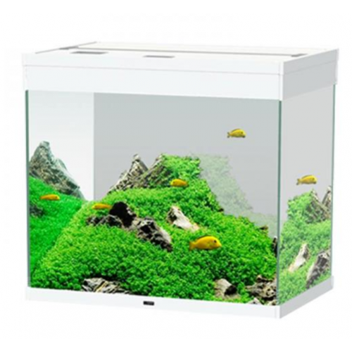 Cyan Emotions Nature Pro 60 PK100, Baignoire...