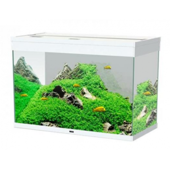 Cyan Emotions Nature Pro 80 PK200, Aquarium Bath - Askoll