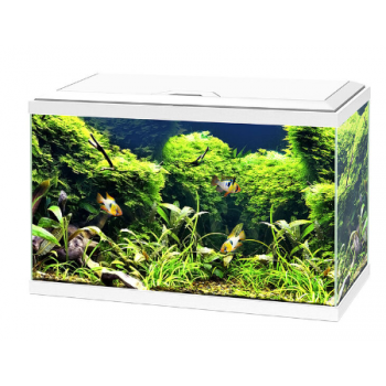 Aqua 60 LED, baignoire d'aquarium - Askoll