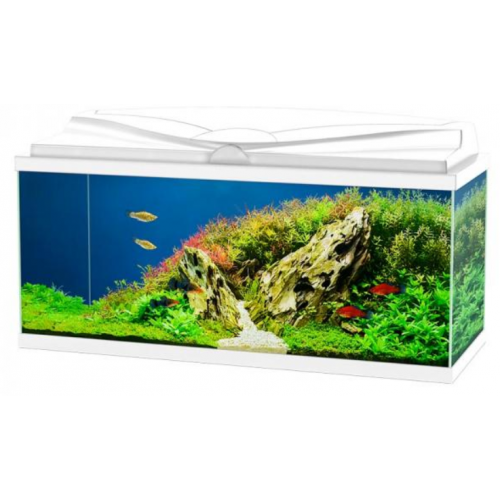 Aqua 80 LED, baignoire d'aquarium - Askoll