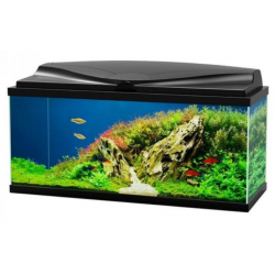Aqua 80 LED, vasca per acquario - Askoll