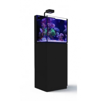 Max Nano G2 Peninsula, con supporto - Red sea
