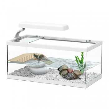 Tortum white turtle - Aquatlantis