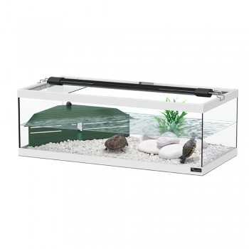 Tortue blanche tortue avec filtre interne - Aquatlantis