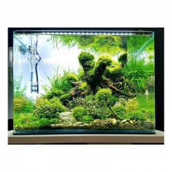 Nano Scapers Tank new Dennerle