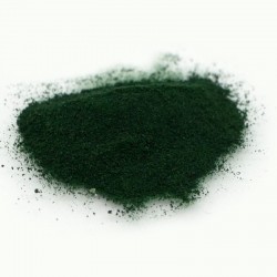 Spirulina powder, polvere di alghe per invertebrati e avannotti - River Aqua Food