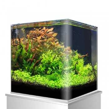 Nanotank 90 avec couvercle, verre extra-clair - AMTRA 2