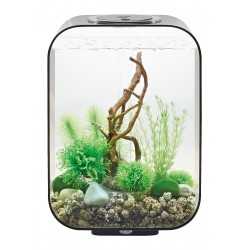 Biorb Life 15 MCR (télécommande multicolore) - Oase 2