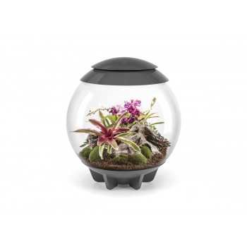 biOrb AIR 60 terrario - Oase