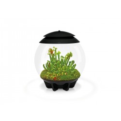 Composé dans des fibres de noix de coco pour BIORB AIR 30 Terrarium - Oase