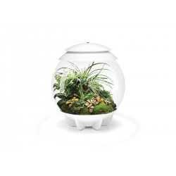 Composé dans des fibres de noix de coco pour BIORB AIR 30 Terrarium - Oase