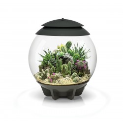 Composé dans des fibres de noix de coco pour BIORB AIR 30 Terrarium - Oase